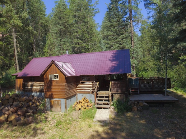 The cabin in the summer
