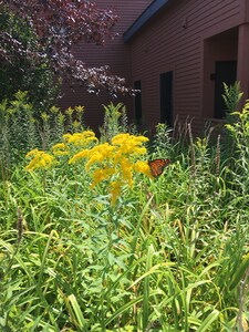 Trail Creek ski home/walk to lift 2bedroom+ 2bath+hot tub pool LOFT