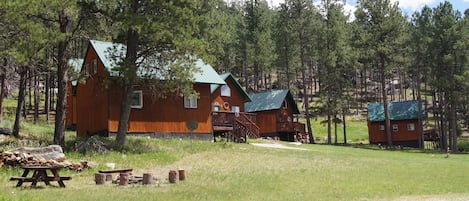 cabin 1 firepit and picnic area