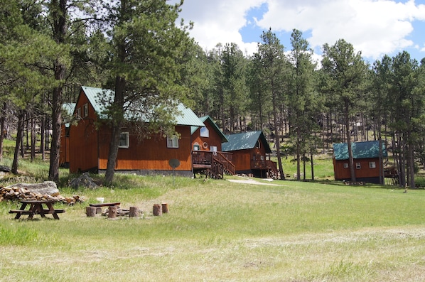 cabin 1 firepit and picnic area