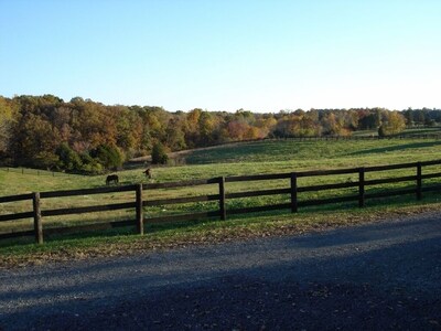 Servants' Cottage on 600 Acre Working Horse/Cattle Estate