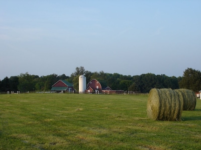 Servants' Cottage on 600 Acre Working Horse/Cattle Estate