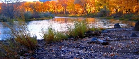 Backyard view with incredible Fall colors.  Tranquil beauty you'll never forget.