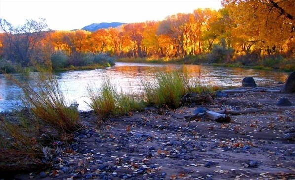 Backyard view with incredible Fall colors.  Tranquil beauty you'll never forget.