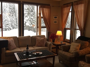 Cozy Bright Living Room With Views of Morrissey and Tod Mountains
