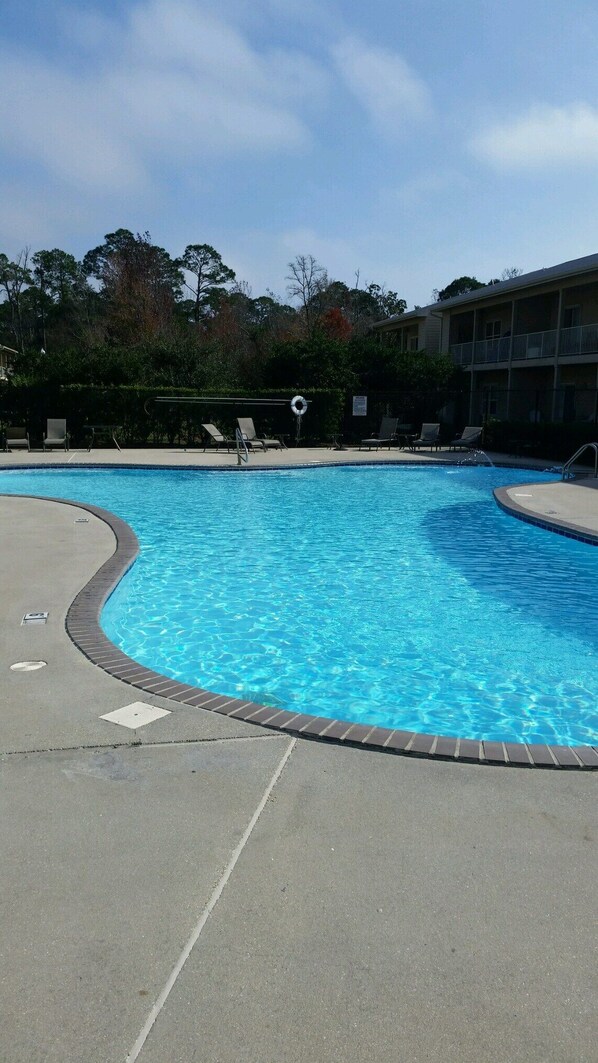 Newly renovated swimming pool