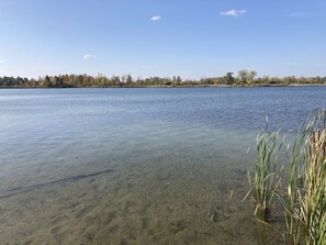 The water is shallow and calm, great spot for the whole family to paddle or swim