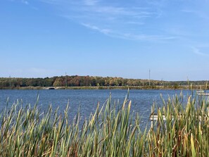 Paddle under the Bridge and enjoy the Largest side of Lake Eugenia.