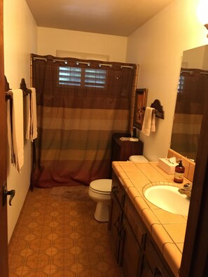 Main bathroom 