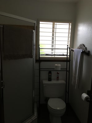 Bathroom in master bedroom