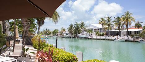 View from back porch and into canal- with room for your boat!