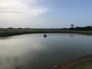 Pond near home