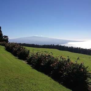 View from the activity lawn on the Ranch.