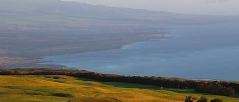 View of the Kohala Coastline.