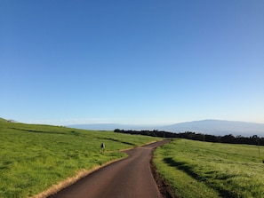 Kahua Ranch road leading to Hale.