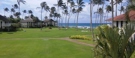 View from lanai