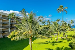 Tropical and manicured lawn and views from the lanai. Pool is closer to ocean.