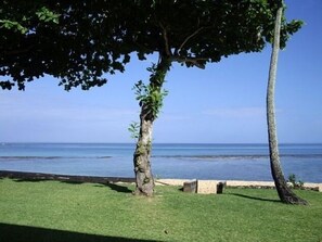 View from Lanai