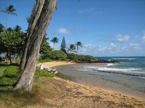 Beautiful golden sand beach by Lae Nani