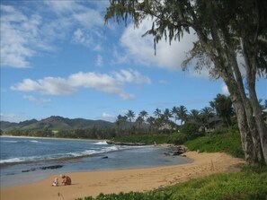 another view of the golden sand beach, within 200 feet walk from our unit.