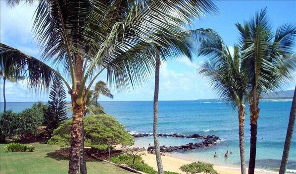 a great view of the golden beach and the natural lava rock ocean pool