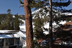 View from Great Room & Dining & Deck