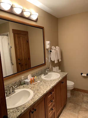 Full master bathroom