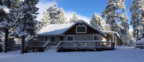 Winter view of cabin