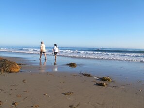 Our California coastline is perfect for beach walking.
