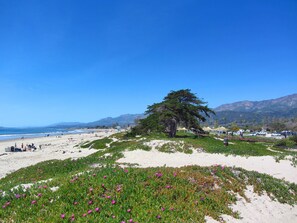 Boardwalk path offers majestic views from ocean to mountains