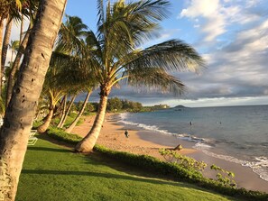 "The sand was amazing and we saw several sea turtles" Tom W