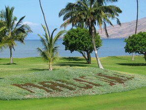 View from lanai

