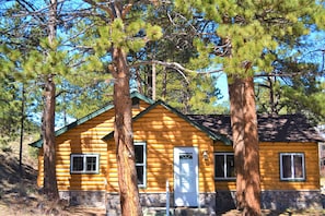 Great Cabin Home Right on 450 ft. of Fall River. Hear River From Every Room!