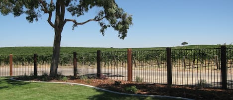 fully fenced yard