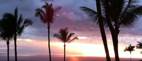 Gorgeous Maui sunsets every night.
