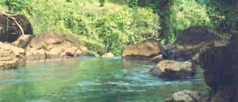 RiverSong B&B Overlooking Kilauea River