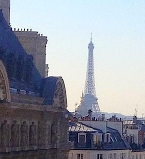 Direct view on the Eiffel tower : that's Paris !