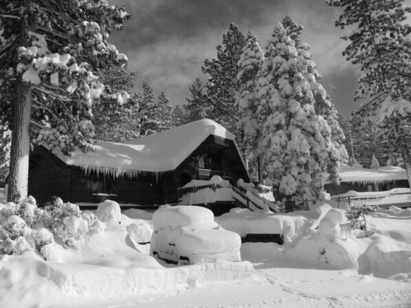 Le Shack in winter coat