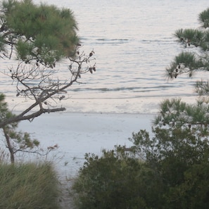 Path over dune to beach.