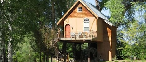 Tree House in Summer