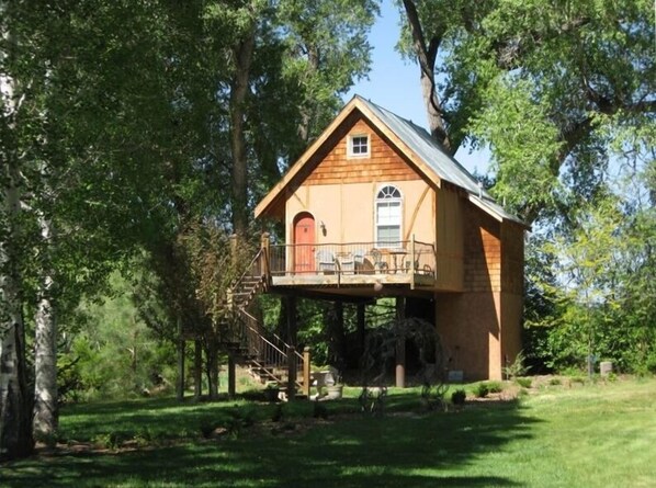 Tree House in Summer