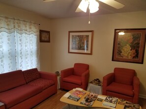 Living Room Area