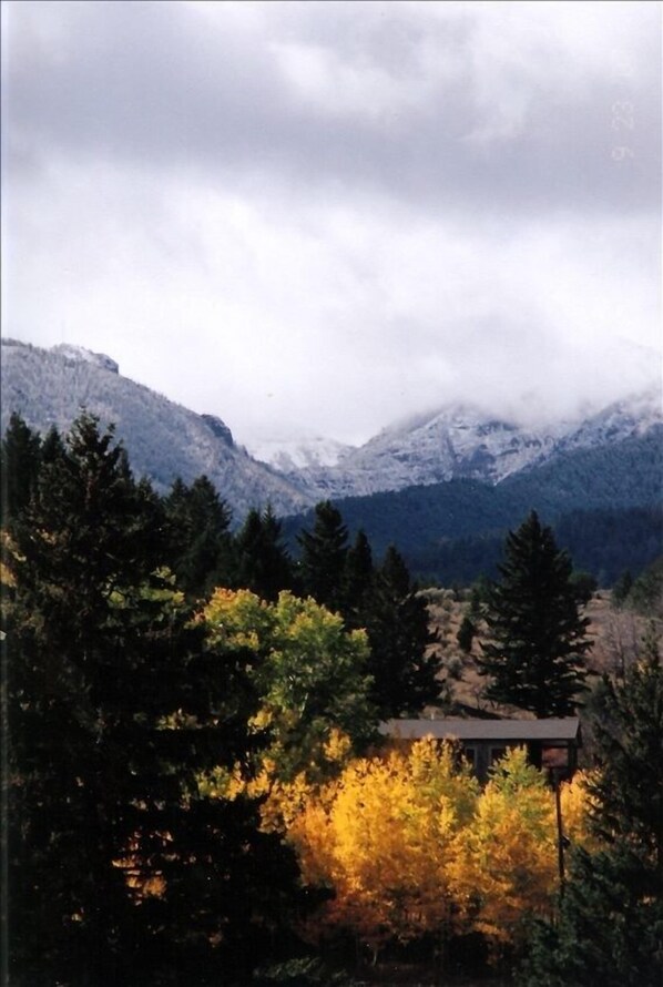 The cabin in autumn-view wildlife from the cabin porch.