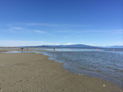 Luxury 2007 Ocean View Townhome - Popular Tanglewood on Rathtrevor Beach