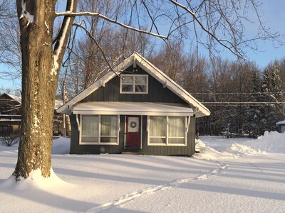 Private Chautauqua Lake House - 75 Ft Lake Front - Dock Available - Pet Friendly