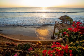 Garden overlooking the sea