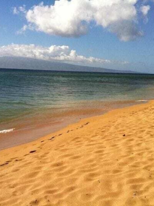 The beach with the island of Molokai in the background.
