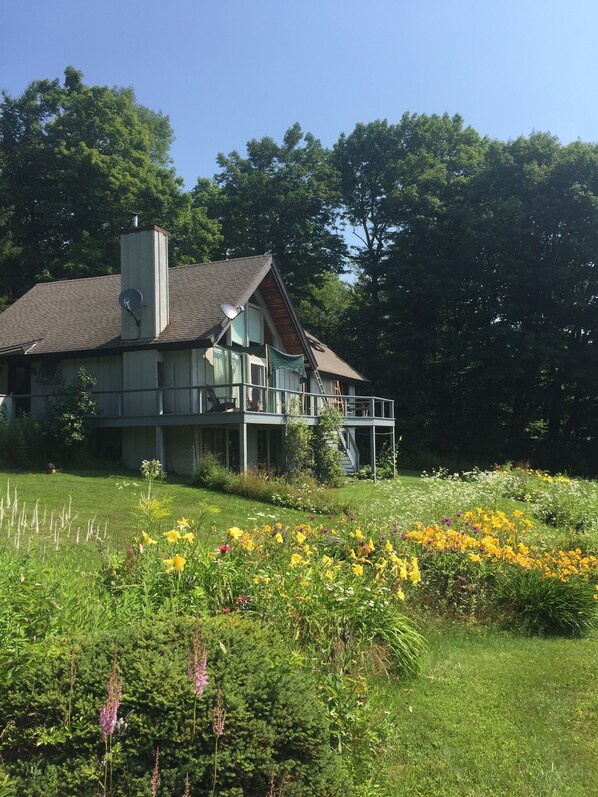 Summer and the garden