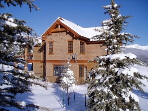 Corkscrew Flats House with Apartment Entrance