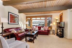 Living room with pull out sofa bed and cable TV